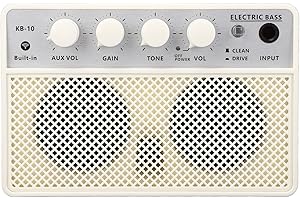 WALFRONT Altavoz de Graves 10W Amplificador de Bajo Recargable Portátil Dual Canal Bluetooth AUX Salida Auriculares Canal Limpio para Práctica y Exteriores