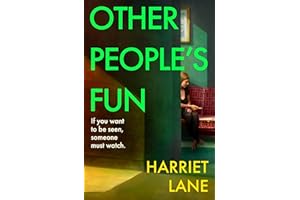Other People's Fun: A wickedly funny literary thriller for the Instagram age
