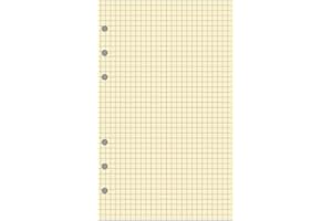 ‎EXACOMPTA Exacompta - 28211E - Recharge Bloc de feuilles quadrillé pour organiseur Exatime 21-40 feuillets Ivoires