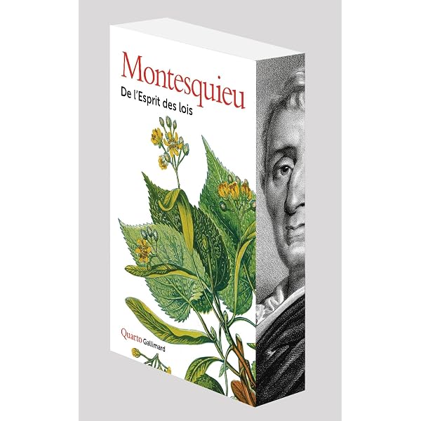 De l'esprit des lois, tome 2 : Montesquieu, Goldschmidt, Victor