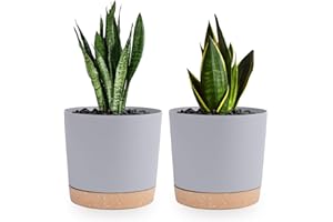 QCQHDU Lot de 2 Pots de Plantes 16.5cm, Pots pour Plantes d'intérieur avec Trous de Drainage et Base Amovible, Soucoupe décorative Moderne pour jardinières d'extérieur (Gris Clair 16.5cm)