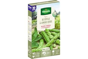 Vilmorin Fève de Séville a Longue cosse Boite série20m, Vert