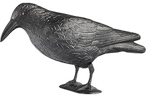 Windhager Gartenfigur Rabe, Taubenabwehr und Taubenschreck aus Kunststoff, natürliche Schädlingsbekämpfung, Schutz vor lästigen Vögeln, Krähe, Taubenschreck, 37cm, 07117, Schwarz