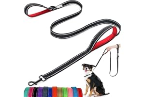 ATETEO Dog Lead - With Two Padded Handles, Two Dog Leads Modes,Double-Sided Reflective Nylon Dog Leash for Training&Walking Perfect for Medium Dogs
