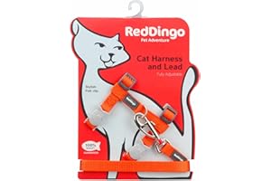 Red Dingo Basic Laisse/Harnais pour Chat Orange