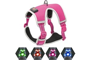 YFbrite Harnais lumineux pour chien - LED - Harnais réfléchissant pour chien - Lumières pour chien pour harnais - Confortable et réglable - Respirant et clignotant (rose, taille M)
