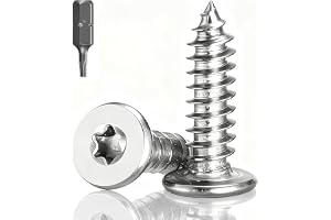 Jyvex 100 st träskruvar rostfritt stål, M4 x 12mm plattskruv Torx, 304 rostfritt stål träskruv, sänkt huvudskruve rostfritt s