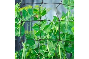 LES-THERESA 2 Piezas Red de Enrejado para Plantas, 120 * 120 cm Red de Cultivo, Red Trepadora de Plantas con 8 Ganchos, Malla para Enredadera, Reutilizable para Plantas, Verduras, Frutas, Flores, Negro