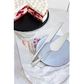 &Ccedil;elik Silver Pasta Spatula Bı&ccedil;ak Seti Kek Sunum cin615by