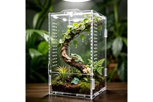 GTSEEMUU Jumping Spider Enclosure, Insect Terrarium, Bug Cage, 12 x 11 x 20 cm Acrylic Terrarium for Tarantula, Snail, Prayin