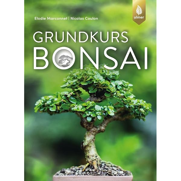 Bonsai - Vom Grundkurs zum Meister: Grundkurs Bonsai; Der Weg zum Meister  Bonsai. Doppelband : Stahl, Horst: Amazon.de: Bcher