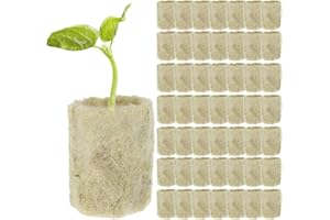 pologmase 50 Laine Roche, Bouchons Démarrage Laine Roche - Culture Hors-Sol Agricole Culture Hydroponique Cubes Laine Roche pour Bouturage, Clonage, Propagation