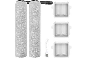 Rrochio Accesorios para roborock F25, 2 rodillos y 3 filtros para roborock F25 LT, F25 RT, F25 ACE, F25 ALT, F25 ACE Combo, F25 Combo para aspiradora en seco y húmedo