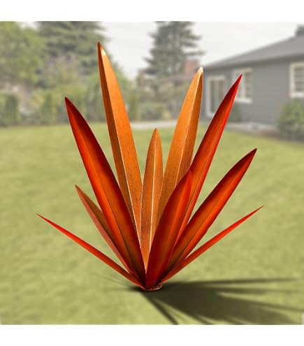 Stk - 10x Agave parryi subsp. parryi Winterhart Bltter blaugrn Samen  B1890 - Seeds & Plants Shop by Ipsa : Amazon.de: Garten
