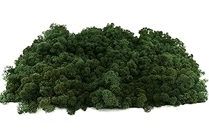 INMO Moos - Islandmoos echtes Natur Moos konserviert 200g Dunkelgrün. Dekomoos zum Basteln, Moosbild, Wand-Bilder, Wanddeko, Modellbau weitere Farben und Mengen zur Auswahl 40g - 500g 1 KG - 4 KG