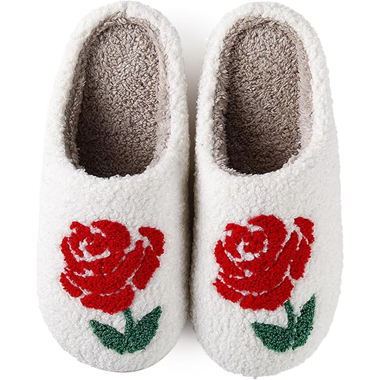 Hausschuhe Damen Winter Gefüttert Plüsch Pantoffeln Bequeme Anat – Shoes