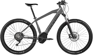 Colnago Bici Bicicletta ELETTRICA 29\