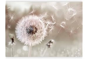 murando - Carta da parati Floreale Soffione 450x315 cm Fotomurali in TNT Murale alla moda Decorazione da Muro XXL Poster Gigante Design Carta per Pareti Soggiorno Fiori Natura Astratto b-C-0960-a-a