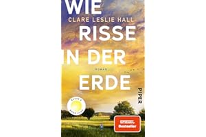 Wie Risse in der Erde: Roman | »Ein Buch, das man vielleicht nie in seinem Leben wieder vergisst.« Deutschlandfunk Kultur