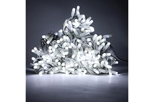 Luccika Stringa Catena di luci Natale a LED Professionale, MaxiLed da 8mm, Flash, per Giardini Negozi Bar, Esterno (Bianco Ghiaccio con Flash Bianco Ghiaccio, 10 Metri - 100 LED)