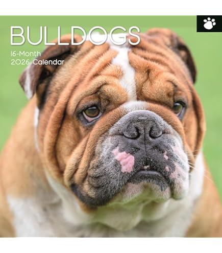 Deurmat - Binnenmat Franse Buldogs (75 x 50 cm) Kopen