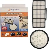 Magic Bags | Rowenta ile Uyumlu X-Trem Power Cyclonic Vakum Filtresi Seti - 2 Par&ccedil;a - Hepa Filtre Ve Motor Filtresi