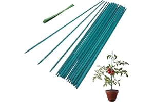 WIEERDA Garden Stakes, 30cm Bamboo Sticks Plant Support Sticks with Twist Ties, Green Plant Stakes for Garden or Home Floral Picks Gardening Tripods Makin (30CM 30PCS)