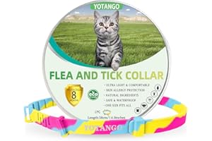 YOTANGO Collar Antipulgas Gatos, Collar Antipulgas y Garrapatas para Gatos, Ajustable Impermeable Collar Antiparasitario Gatos con 8 Meses de Protección Natural para Gatos Medianos y Grandes - Arcoíris