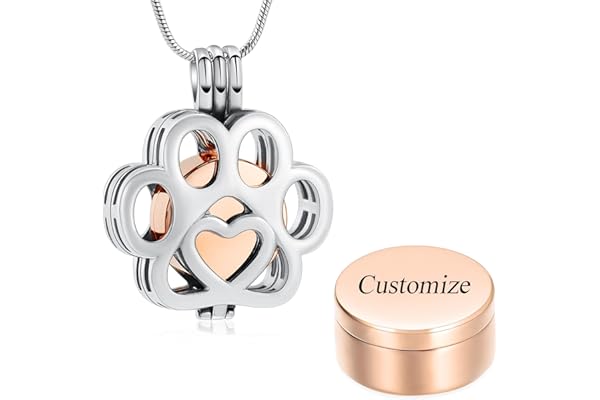 VCCWYQK Collier funéraire pour cendres de chien ou chat en acier inoxydable avec médaillon funéraire pour animal domestique