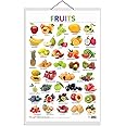 GO WOO Fruits Educational Poster for Preschool Kids Classroom Study | Learning- Chart for Kids Learning (20"X30" Inches)