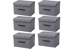 EURXLQ Scatole Portaoggetti con Coperchio,Scatole per Armadio Pieghevoli,Scatole Portaoggetti,Scatole Armadio con Coperchio e Maniglie per l'armadio (Grigio, 6 pack-36×23×24 cm)