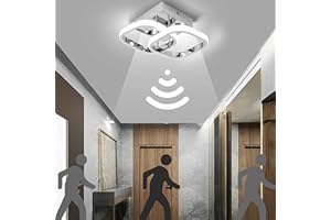 EIDEARAY LED Ceiling Light with Motion Sensor Indoor 22 W Cool White 6000 K Ceiling Light, 24 x 20 x 9 cm Sensor Lamp, Suitable for Hallways, Garages, Carports, Staircases (Silver)…