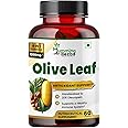 Humming Herbs Olive Leaf & Fruit Extract 1200mg - Advanced Immune Support with Astragalus & Echinacea - Antioxidant-Rich Heart Health Formula