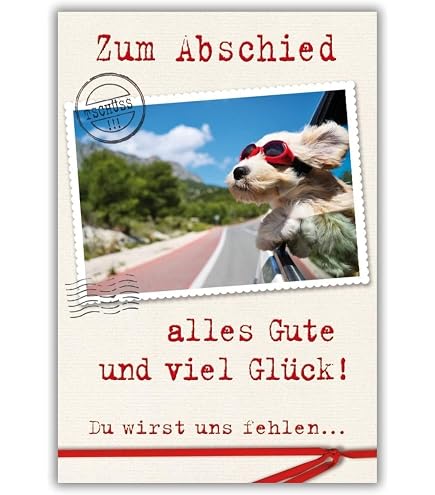 Lustige Ruhestandskarte Mit Hund Am Strand – DIN A6, Inkl. Umschlag, Perfekt Für Kollegen
