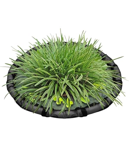 Schwimmender Pflanzenring Für Teich | Fischschutz, Pflanzinsel Ø 46 Cm (18 Zoll), Schwarz
