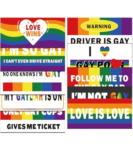 "Passed By A Gay" Funny Car Sticker Decal - Van Window Bumper Vinyl - Girl Car Theme