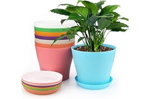 ‎KINGLAKE KINGLAKE 8 Stück 14cm Blumentöpfe Pflanztöpfe Klein, übertopf Pflanztopf Anzucht Plastik mit Untersetzer, Blumentopf Kunststoff Set, Topf Kleine Flower Pot für Pflanzen Kakteen Sukkulenten-Bunt