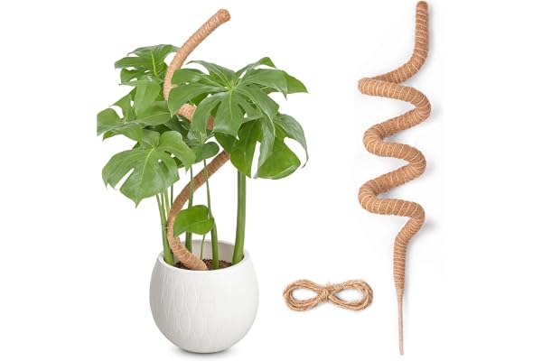 Tuteur Monstera pour Plantes, SproutMaven 160cm x 1 kit de Poteau de Mousse Monstera pour Plantes Grimpantes, Tuteur Coco pour Plantes d'intérieur
