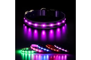 CAWJUG Light up Dog Collar, Rechargeable LED Dog Collar with 3 Glowing Modes, Adjustable Flashing Dog Collar for Small Medium Large Dogs(Purple, M)