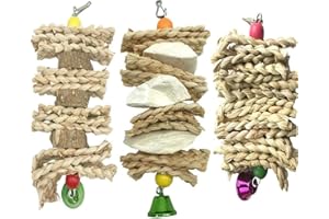 Wonninek 3 Pack Parrot Toys Chewing Bird Toy Cuttle Bone Beak Grinding Cage Hanging Bell Toys for African Greys Amazon Conure Eclectus Budgies Parakeet Cockatiel