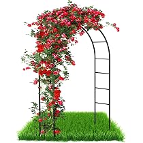 Arche De Jardin En Métal Noir Pour Plantes Grimpantes - Obélisque Rosiers 2,4m - DIVCHI