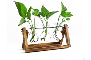 NIRCHO Desktop Propagation Station with Vintage Wooden Stand and Removable 3 Bulbs Vases for Hydroponics Plants, Glass Planter Bulb Vase for Office Home Garden Decoration,Housewarming Gifts for Plant Lovers