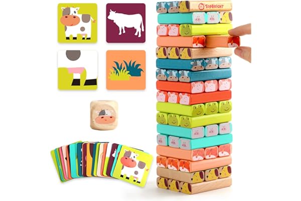 TOP BRIGHT Jouet Tour de Blocs Empilables colorés et Animaux en Bois pour Enfant de 4 5 6 7 8 Ans, 4 en 1 Jeux à Empiler pour Garçon et Fille 3 Ans, Cadeau avec 51 pièces