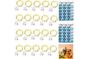 ‎DOOOZY Dooozy 20 Stück Micro LED Lichterkette und 120 Batterie, 2M 20 Led Lichterkette 3 Modi Batterie Kupfer Drahtlichterkette Wasserfest für Weihnachten Außen Garten, Innen Hochzeit, Party(Warm Weiß)