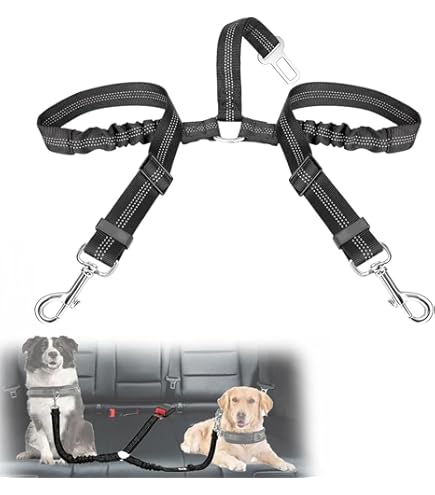 Ceinture De Sécurité Voiture Pour Chien/chat - 2 Pièces, Longueur Réglable 50-75 Cm, Mousqueton, Absorption Chocs