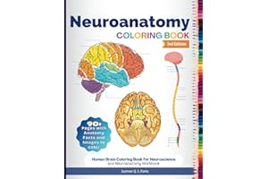 Neuroanatomy Coloring Book: Human Brain Coloring Book for Neuroscience and Neuroanatomy Workbook
