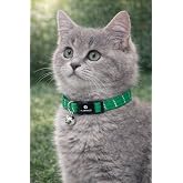 Cat Collar &ndash; Elza Green Kitten 15&ndash;22 cm &ndash; Reflective Elastic Nylon with Bell