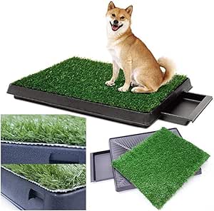puppy potty grass