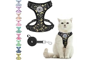 BEAUTYZOO Cat Harness and Leash Set, Escape Proof Overhead Harness, Half Wrap Design, Reflective Trims, Small - Medium, Black, Floral