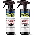 Professional Strength Dried-In Stain Remover, Pack of 2